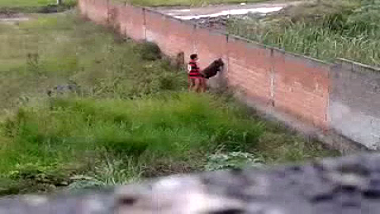 hidden cam outdoor sex scandal of desi college girl